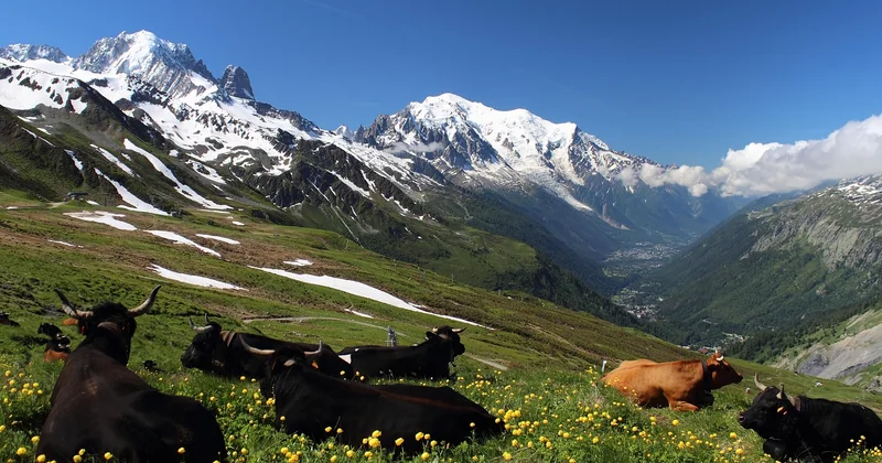 Le Tour du Mont Blanc : l'excitation démocratisée