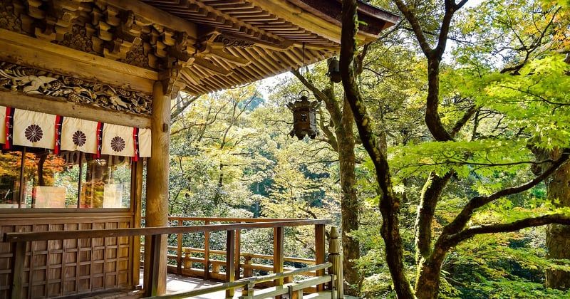 Voyage au cœur du Japon : découvrez sa culture à travers ses festivals